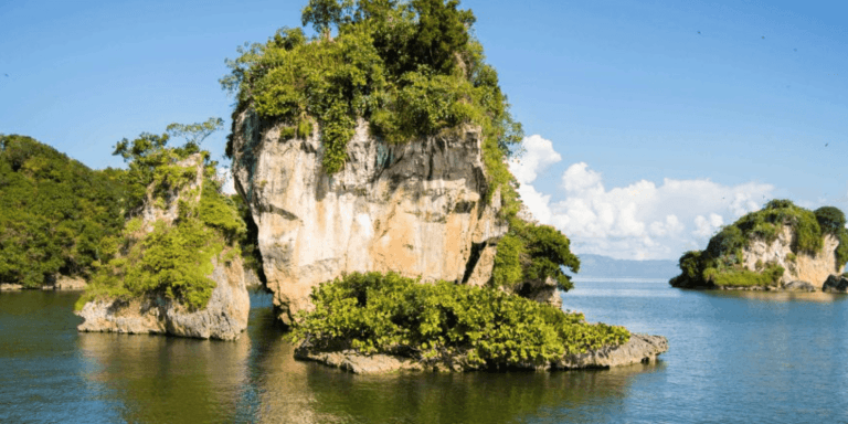 From Samana: Los Haitises Boat and Walking Tour with Lunch — Guided tour and outdoor activity