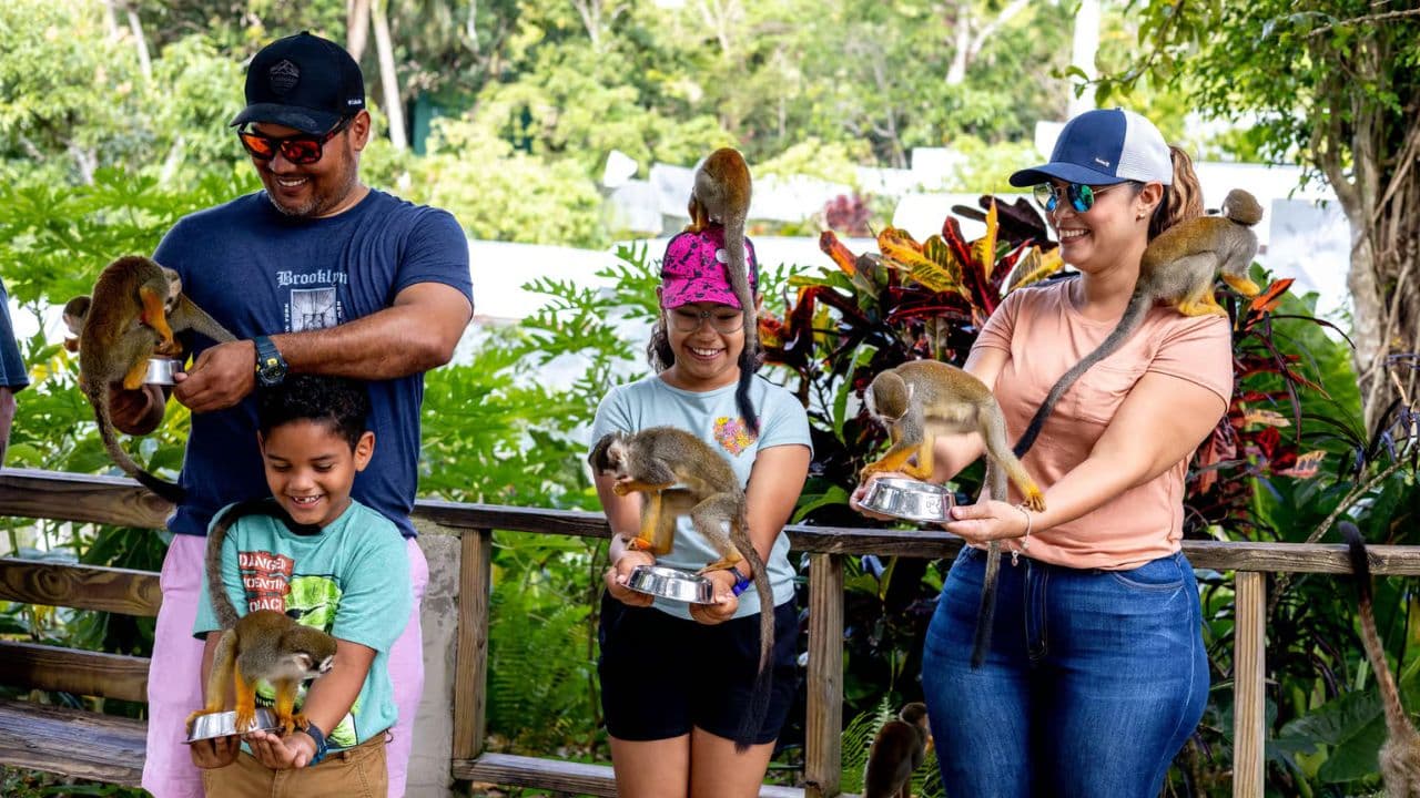 Punta Cana: Horseback Riding Through the Beautiful Beaches — Guided tour and outdoor activity