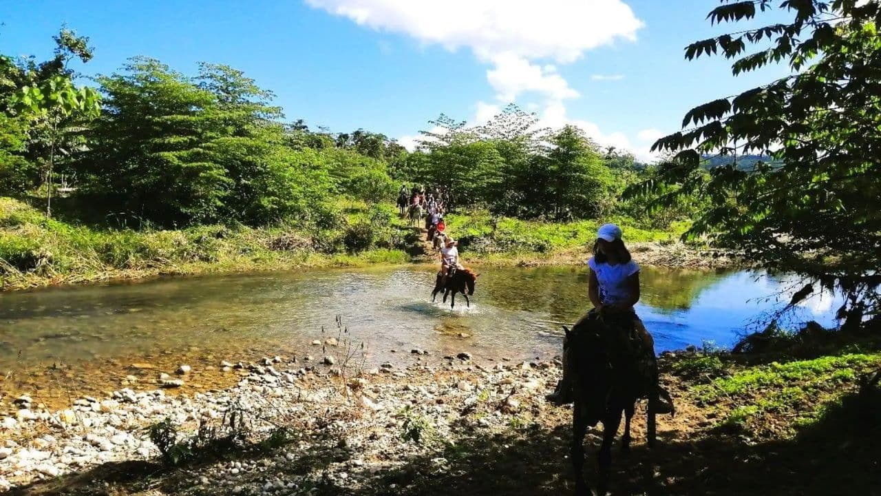 From Puerto Plata: Horseback ride along the mountain river — Guided tour and outdoor activity