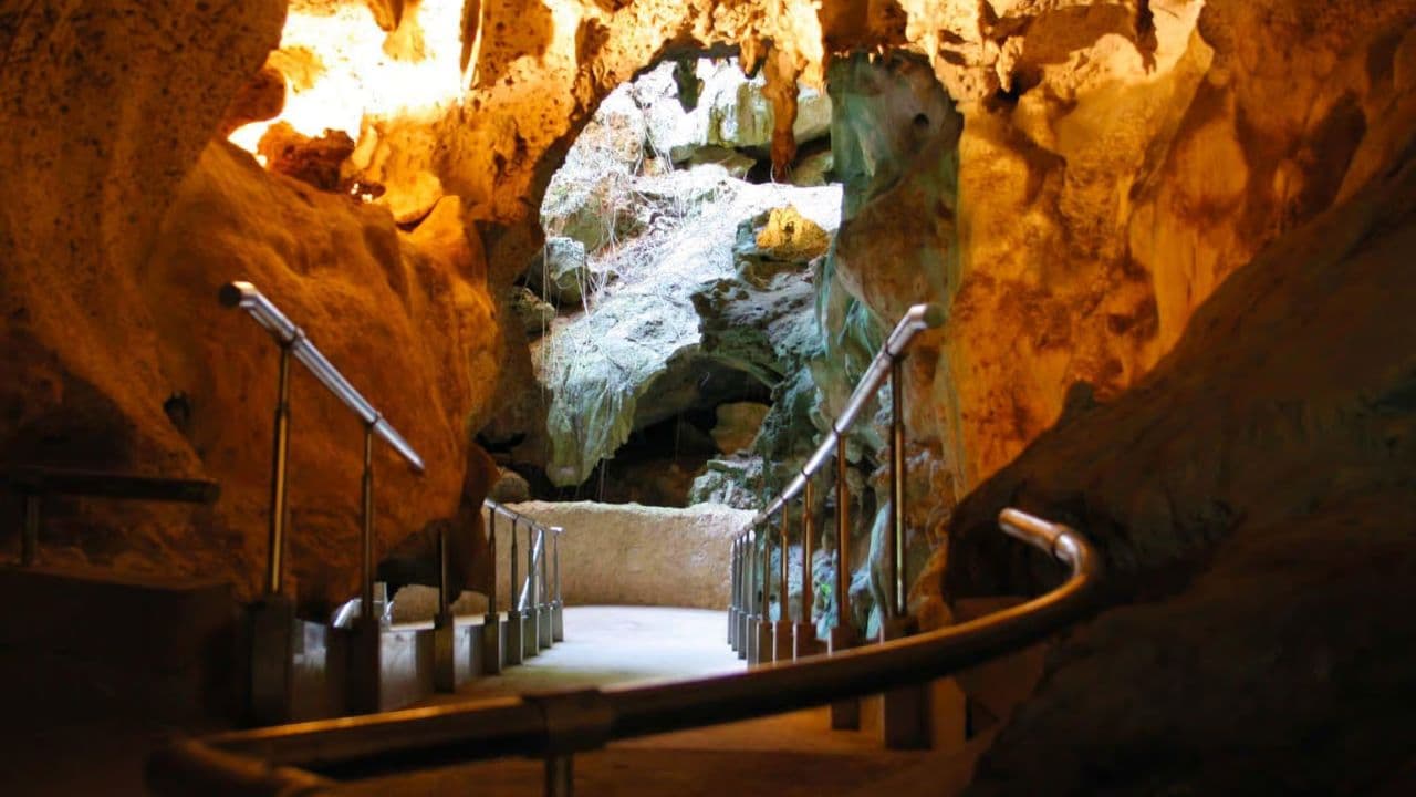 Punta Cana: Cuevas de las Maravillas and Altos de Chavón — Guided tour and outdoor activity