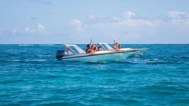 Speed Boat and Snorkeling in Punta Cana — Guided tour and outdoor activity