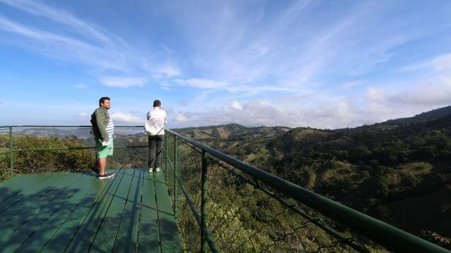 Monteverde: Jungle Zipline & Tarzan Swing with Transfer — Guided tour and outdoor activity