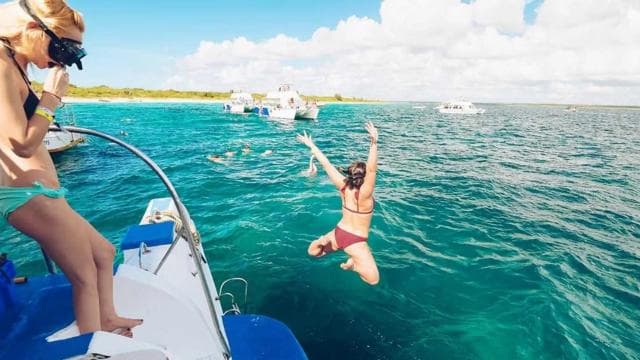 Catalina Island: Day Trip - Best Snorkeling! — Guided tour and outdoor activity