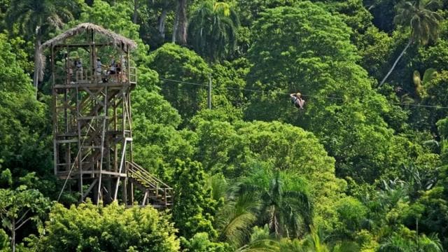 Zip Line in Punta Cana — Guided tour and outdoor activity