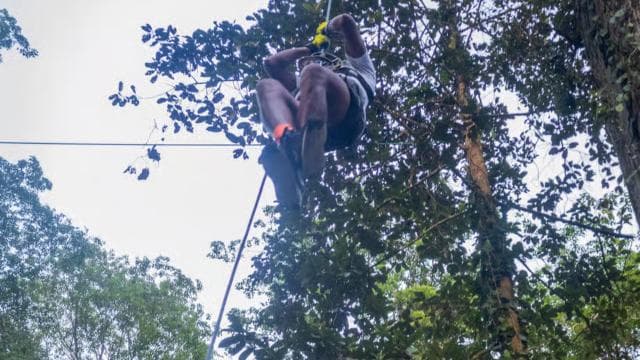 Puerto Viejo: Explore the giant ceibo tree with an accessible aerial circuit — Guided tour and outdoor activity