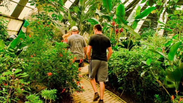 Monteverde: Suspension Bridges, Sloths, and Butterflies — Guided tour and outdoor activity