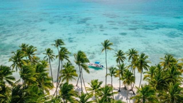 Bayahibe: Saona Island Catamaran Cruise with Natural Pool — Guided tour and outdoor activity