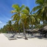Saona Island Tour: Catamaran & Speedboat – All Inclusive — Guided tour and outdoor activity