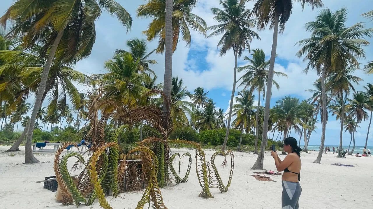 Santo Domingo: Saona Island full-day tour all-inclusive — Guided tour and outdoor activity