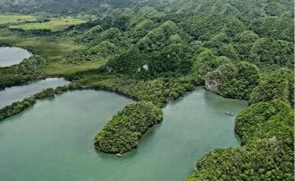 Private: Los Haitises & Cayo Levantado from Samana — Guided tour and outdoor activity