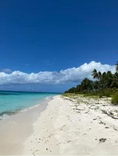 Saona Island VIP: 4 Beaches , Mano Juan & Canto de la Playa — Guided tour and outdoor activity