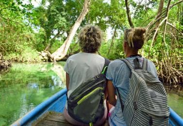Los Haitises: Cacao & Coffee Rainforest Hike/Boat Tour — Guided tour and outdoor activity