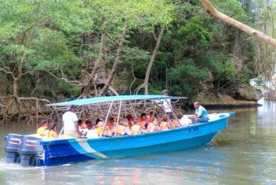 Punta Cana to Los Haitises, Caño Hondo & Montaña Redonda Day Trip – Adults $125, Kids $95 — Guided tour and outdoor activity
