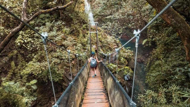 Combo: Lunch + Oropendola waterfall — Guided tour and outdoor activity
