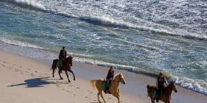 Puerto Plata: 2-Hour Horseback Ride on the Beach — Guided tour and outdoor activity