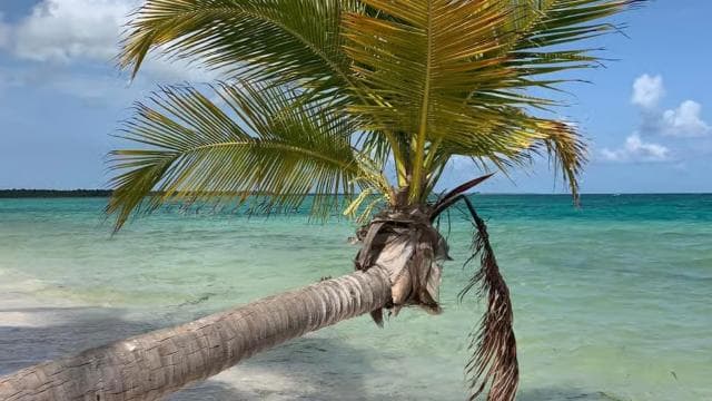 Punta Cana: All Inclusive Saona Island Experience — Guided tour and outdoor activity