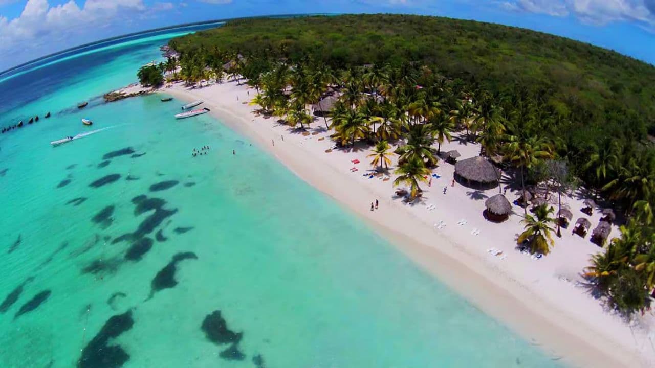 Saona Island: Incredible day With buffet from Punta Cana — Guided tour and outdoor activity
