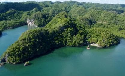 Private 4-Day Tour from Punta Cana/Bayahibe to Los Haitises — Guided tour and outdoor activity
