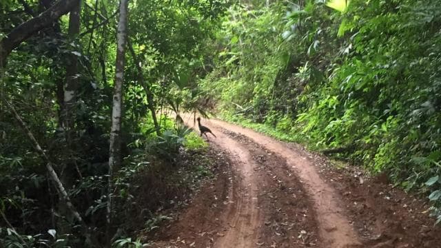 The Explorer Waterfall Tour — Guided tour and outdoor activity
