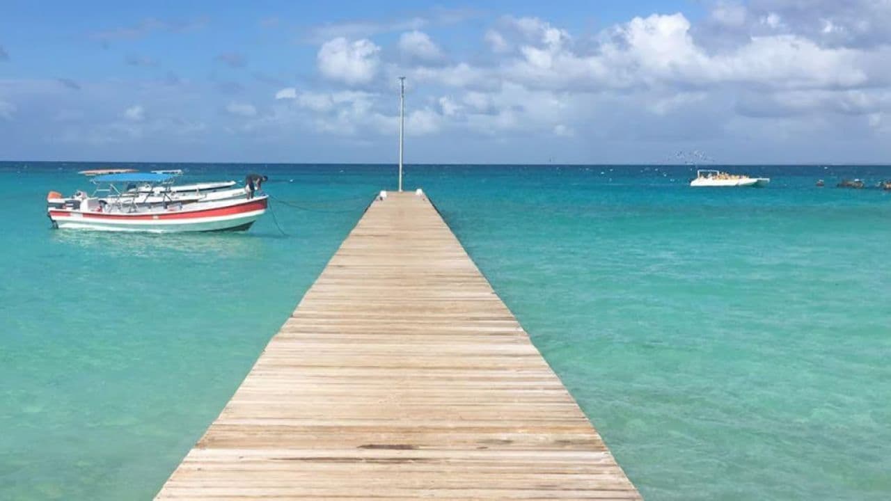 Punta Cana: Saona Island Day Trip with VIP Option — Guided tour and outdoor activity