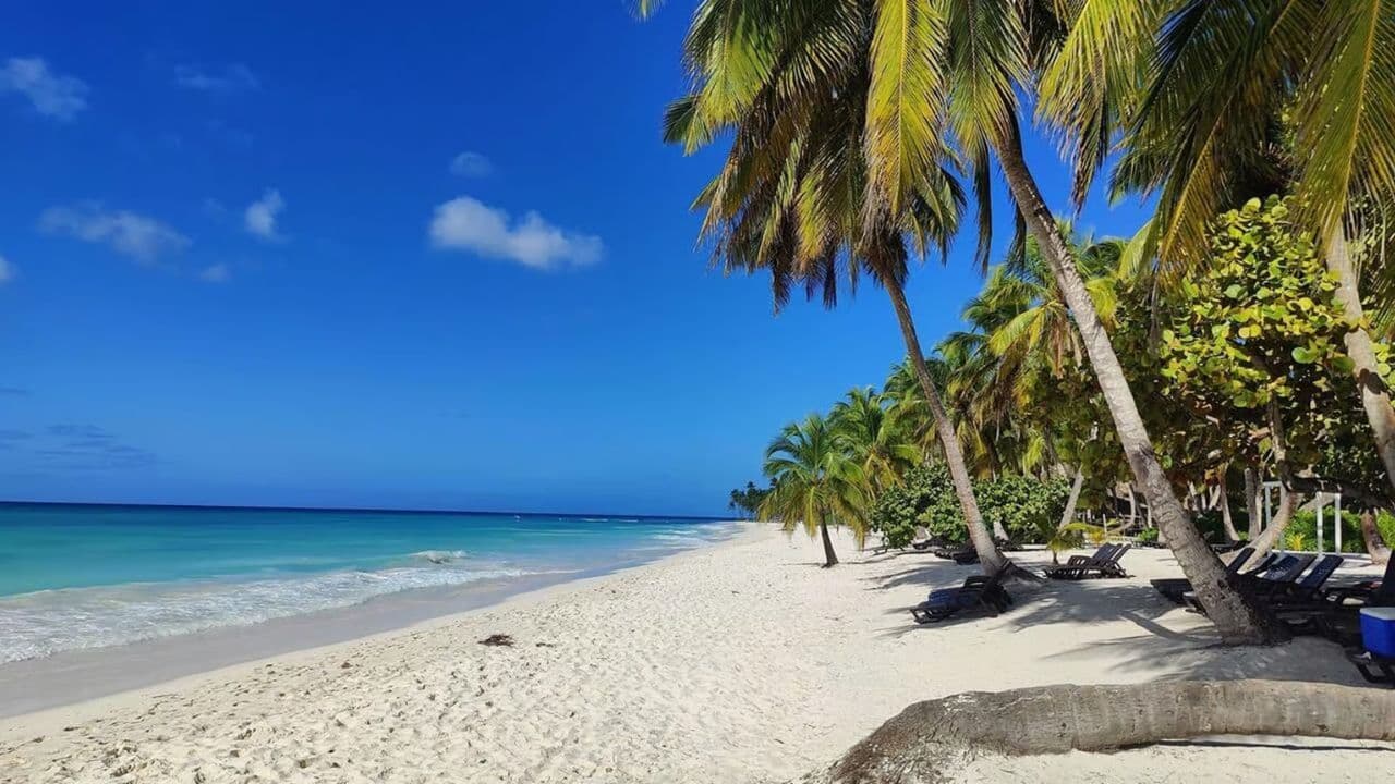 Saona Island Tour with Lunch from Santo Domingo — Guided tour and outdoor activity