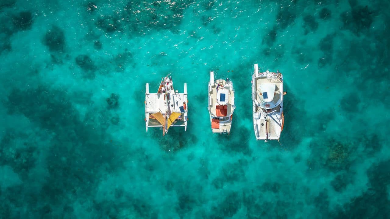 Punta Cana y bayahibe : Catalina Island with Snorkeling — Guided tour and outdoor activity