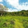 Punta Cana: Anamaya Mountains Walking Tour with Tasting — Guided tour and outdoor activity