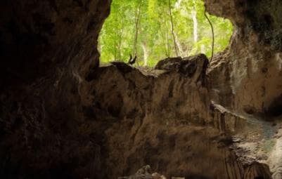 Samana: Los Haitises, Caño Hondo, Kayak Tour with Lunch — Guided tour and outdoor activity