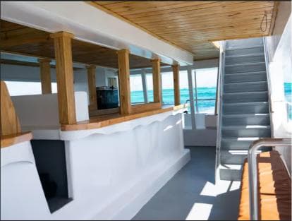 Punta Cana: Catalina Island Cruise with Lunch and Open Bar — Guided tour and outdoor activity