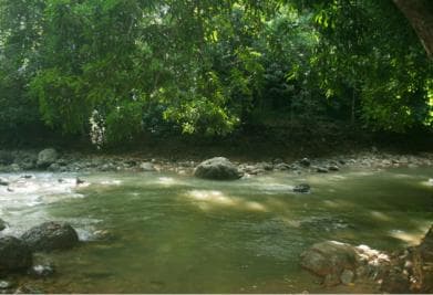Samaná: El Limón Waterfall Horseback Riding Tour — Guided tour and outdoor activity