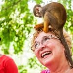 Punta Cana: Monkey Land Half-Day Safari and Plantation — Guided tour and outdoor activity
