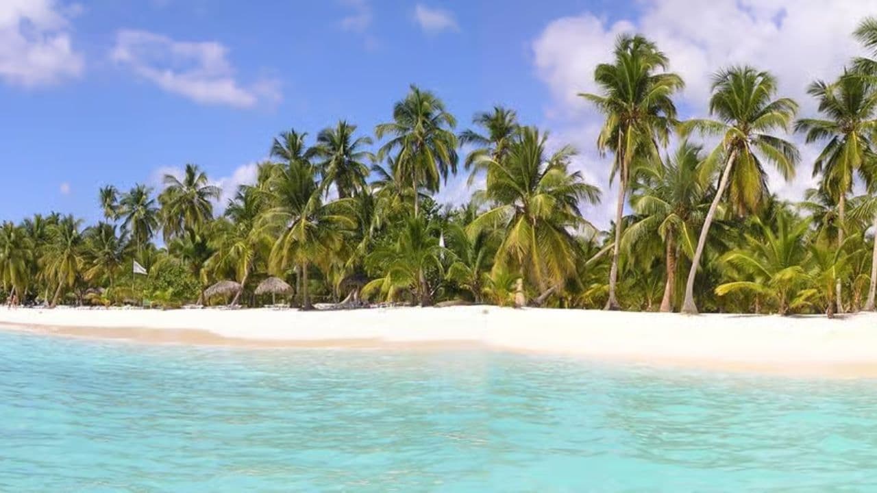 Punta Cana: Saona Island Day Trip with Open Bar and Lunch — Guided tour and outdoor activity