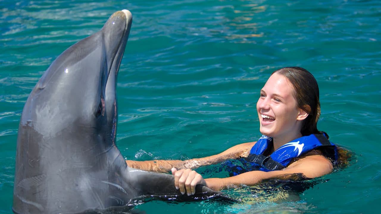 Dolphin Swim in Punta Cana – Best 60-min Dolphin Discovery — Guided tour and outdoor activity