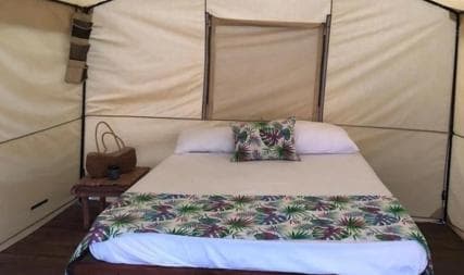 Bahía de las águilas glamping experience from Santo Domingo — Guided tour and outdoor activity