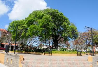 Puerto Plata City Tour and Cable Car Ride ā Guided tour and outdoor activity