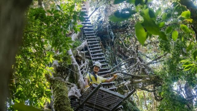 The Original Canopy Tour Monteverde — Guided tour and outdoor activity