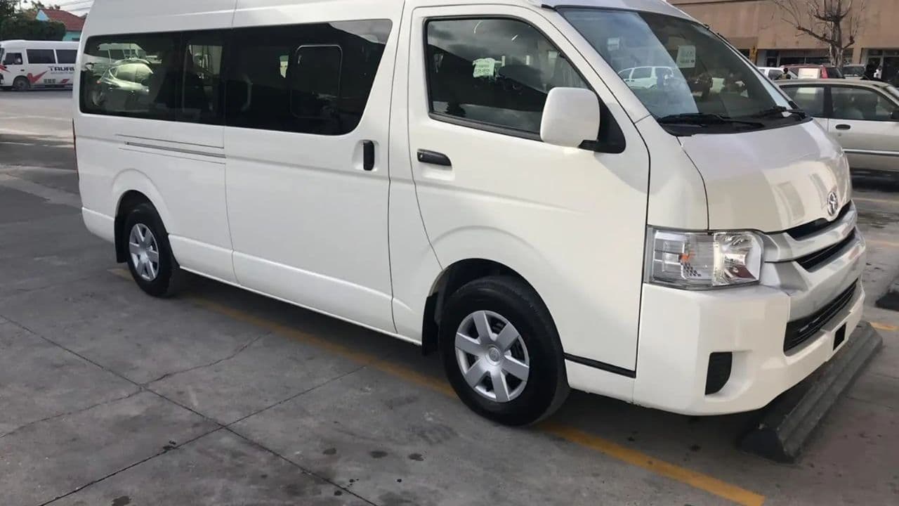 Reliable Airport Transfers to and From Punta Cana Airport — Guided tour and outdoor activity