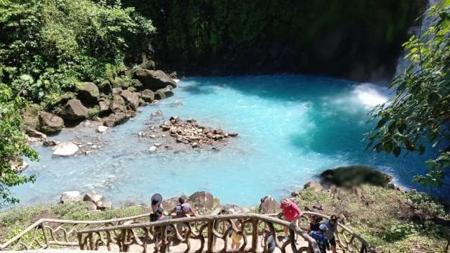 Río Celeste, Sloths, Coffee, Chocolate and Sugarcain — Guided tour and outdoor activity