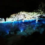 Bayahibe: National Park Jungle Walk & Snorkeling in Cenotes — Guided tour and outdoor activity