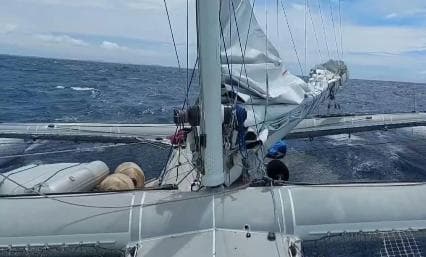 Private: Sosúa Catamaran Sailing & Snorkel Day Trip — Guided tour and outdoor activity