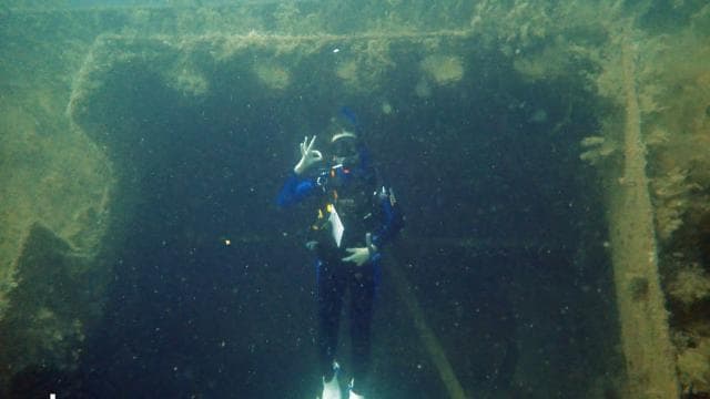 Golfito, Costa Rica: Amazing Day Wreck &/or Reef Dive Trips — Guided tour and outdoor activity