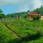 Full Day Cultural Tour in Dominican Republic — Guided tour and outdoor activity