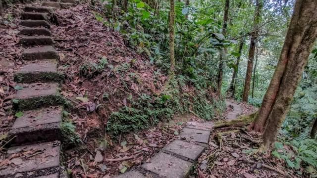 La Fortuna: 12 Canopy Zip Lines and Forest Walk Guided Trip — Guided tour and outdoor activity