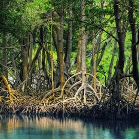 Los Haitises + Montaña Redonda + Cano Hondo Waterfalls — Guided tour and outdoor activity