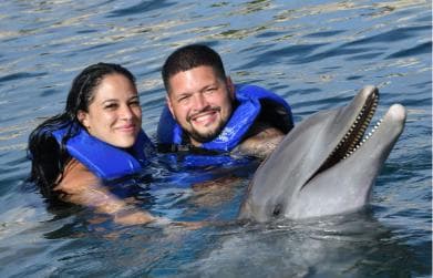 Ocean World Dolphin Swim & Sea Lion Combo from Puerto Plata — Guided tour and outdoor activity