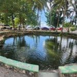Learn about the History of Bayahibe and Bathe in 7 Springs — Guided tour and outdoor activity
