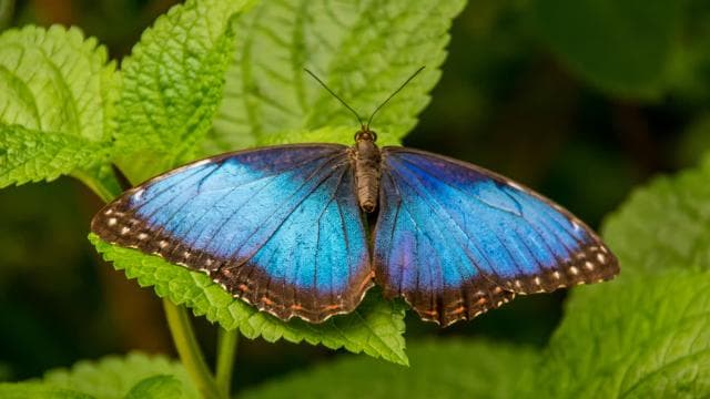 Diamante Eco Adventure Park: Wildlife Sanctuary Pass — Guided tour and outdoor activity