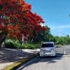 Private Transfer from SDQ to Paradisus Grand Cana — Guided tour and outdoor activity