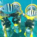 From Punta Cana: ScubaDoo, Snorkel & Glass Bottom Boat Tour — Guided tour and outdoor activity