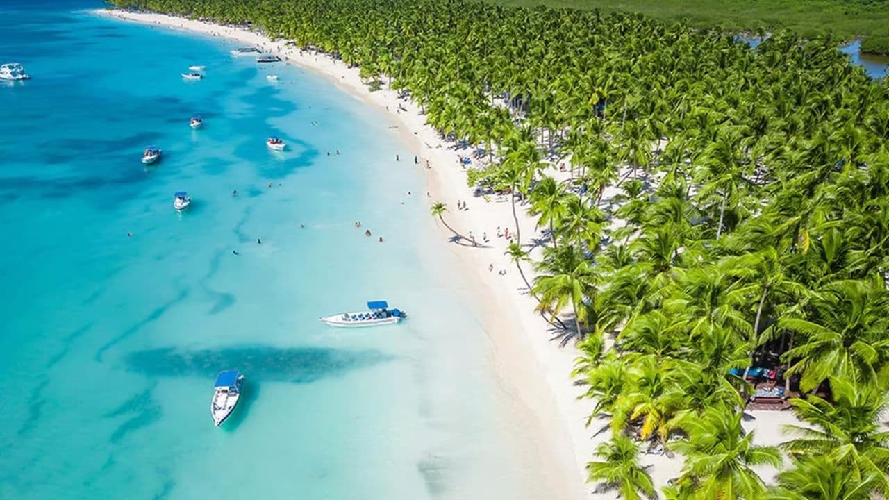 Saona Island: Full-Day Boat Tour with Drinks & Buffet Lunch — Guided tour and outdoor activity